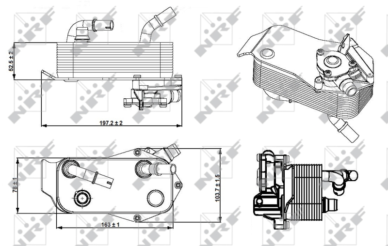 NRF Oliekoeler motorolie 31279