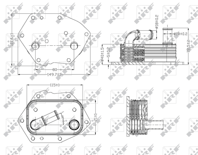 NRF Oliekoeler motorolie 31313