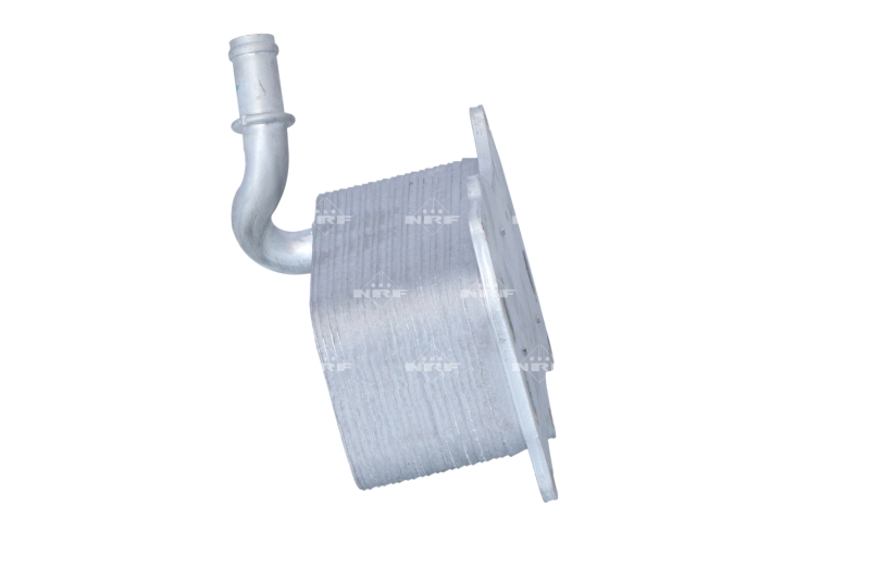 NRF Oliekoeler motorolie 31839