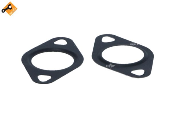 NRF EGR-klep 48396