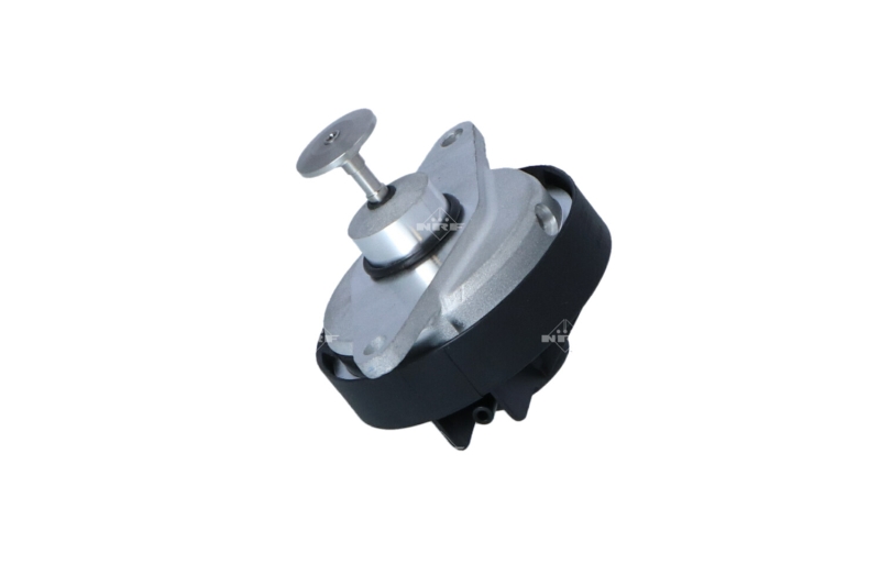 NRF EGR-klep 48399