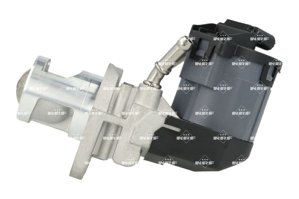 NRF EGR-klep 48604