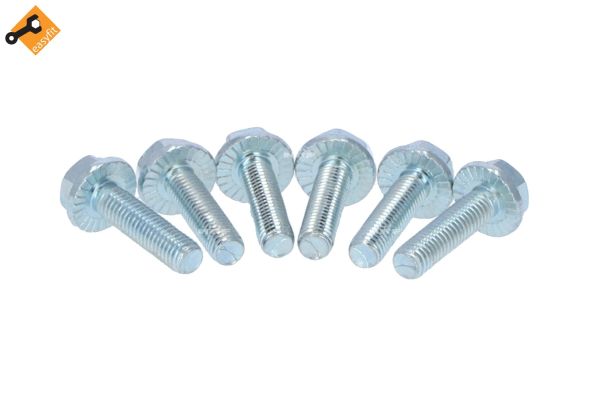 NRF Visco-koppeling 49166