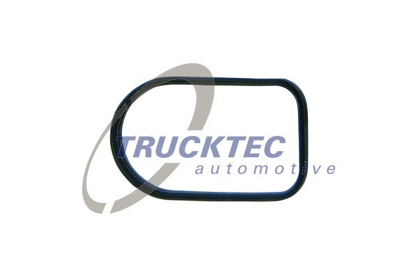 Inlaatspruitstukpakking Trucktec Automotive 02.16.051