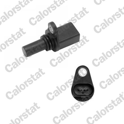 Nokkenas positiesensor Calorstat By Vernet CS0302