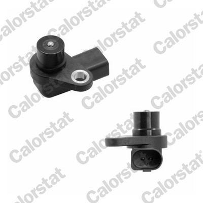 Nokkenas positiesensor Calorstat By Vernet CS0305