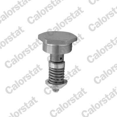 Thermostaat Calorstat By Vernet OV1007.56