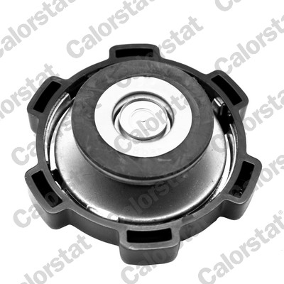 Calorstat By Vernet Radiateurdop RC0122