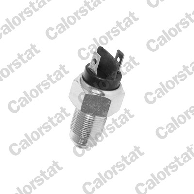 Achteruitrijlichtschakelaar Calorstat By Vernet RS5509