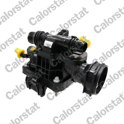 Calorstat By Vernet Thermostaat, koelvloeistof TE7373.92J