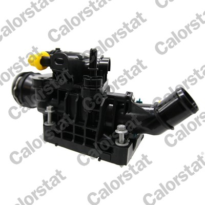 Calorstat By Vernet Thermostaat, koelvloeistof TE7374.92J