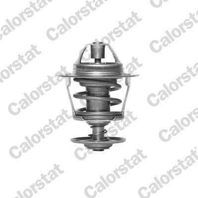 Thermostaat Calorstat By Vernet TH3348.83