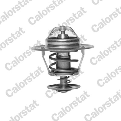 Thermostaat Calorstat By Vernet TH6007.88J