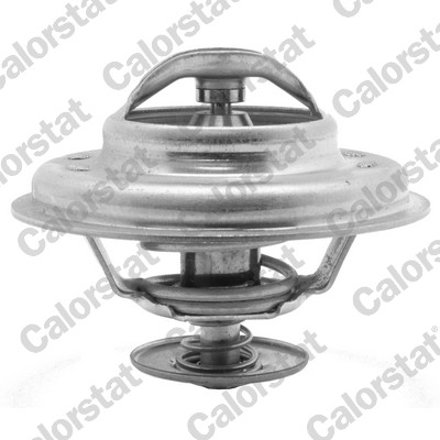 Thermostaat Calorstat By Vernet TH6034.79