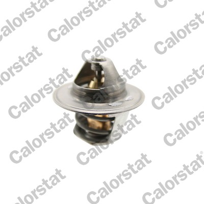 Calorstat By Vernet Thermostaat, koelvloeistof TH6471.79J