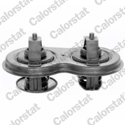 Thermostaat Calorstat By Vernet TH7106.75J