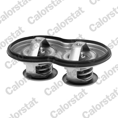 Thermostaat Calorstat By Vernet TH7117.80J