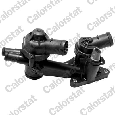 Thermostaat Calorstat By Vernet TH7168.87J