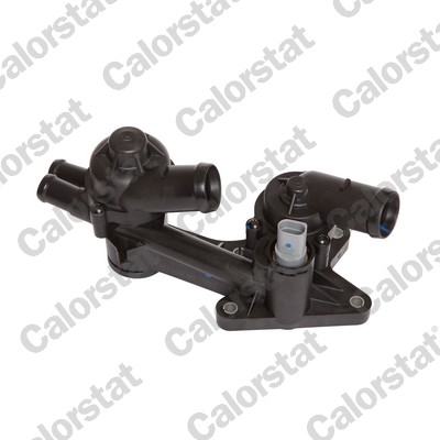 Thermostaat Calorstat By Vernet TH7169.80J