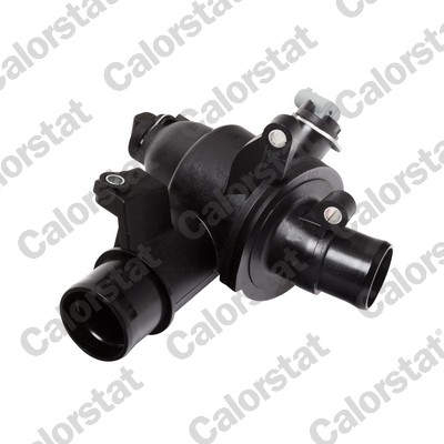 Thermostaat Calorstat By Vernet TH7381.82J