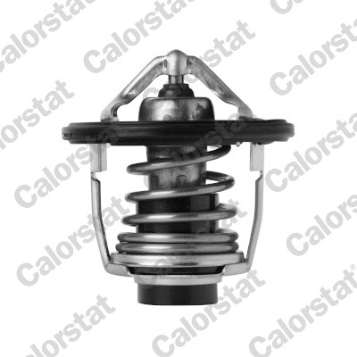 Thermostaat Calorstat By Vernet TH7411.88J