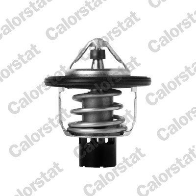 Thermostaat Calorstat By Vernet TH7418.88J