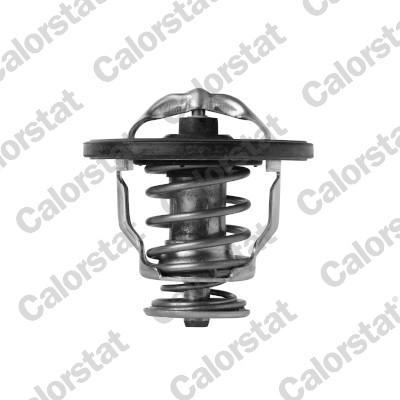 Thermostaat Calorstat By Vernet TH7420.76J