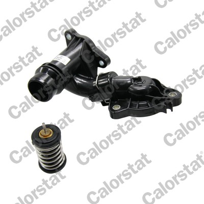 Calorstat By Vernet Thermostaat, koelvloeistof THK7504.85J