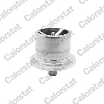 Thermostaat Calorstat By Vernet THS1294.79