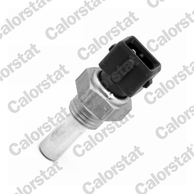 Temperatuursensor Calorstat By Vernet WS2554