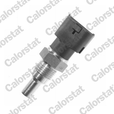 Temperatuursensor Calorstat By Vernet WS2564