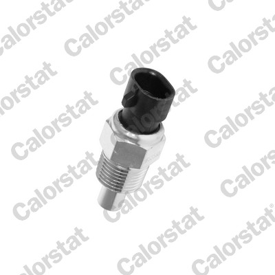 Temperatuursensor Calorstat By Vernet WS2588