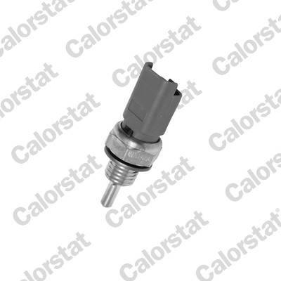 Temperatuursensor Calorstat By Vernet WS2606