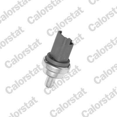 Temperatuursensor Calorstat By Vernet WS2609