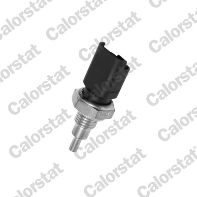 Temperatuursensor Calorstat By Vernet WS2693