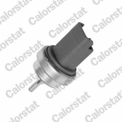 Temperatuursensor Calorstat By Vernet WS3015