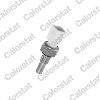 Temperatuursensor Calorstat By Vernet WS3039