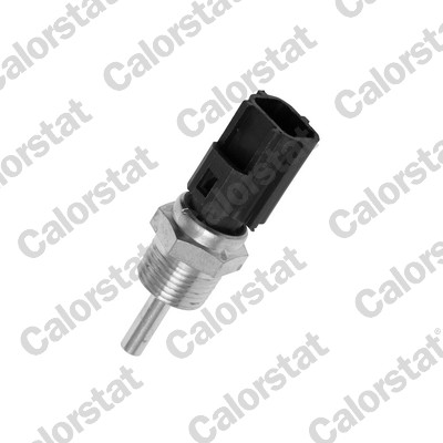 Temperatuursensor Calorstat By Vernet WS3041