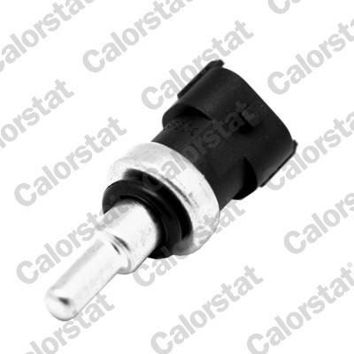 Temperatuursensor Calorstat By Vernet WS3046