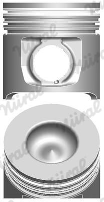 Zuiger Nüral 87-244500-10