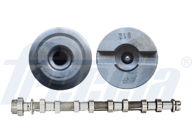 Nokkenas Freccia CM05-2193