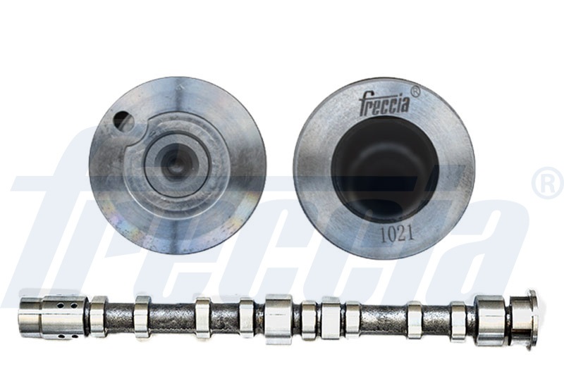 Nokkenas Freccia CM05-2274