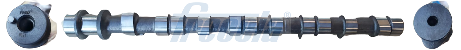 Nokkenas Freccia CM05-2118