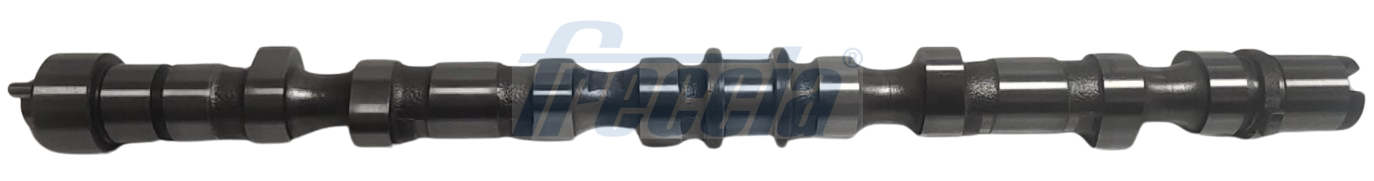 Freccia Nokkenas CM05-2206