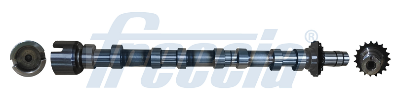 Nokkenas Freccia CM05-2374