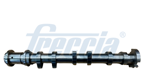 Nokkenas Freccia CM05-2422