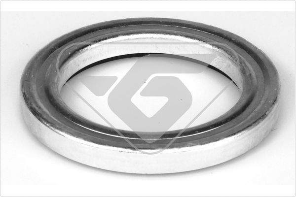 Veerpootlager & rubber Hutchinson 200041