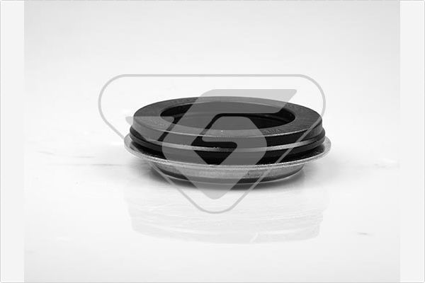 Veerpootlager & rubber Hutchinson 200069