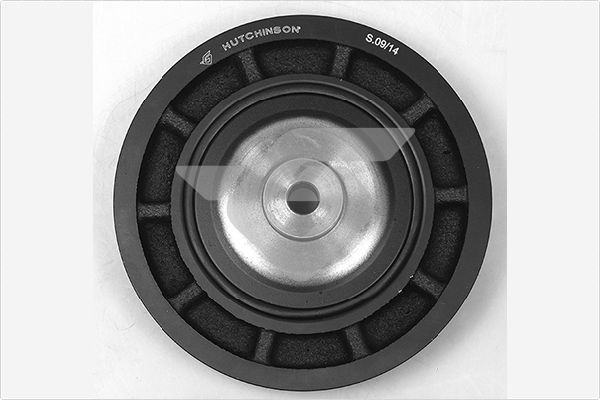 Krukaspoelie Hutchinson DP114