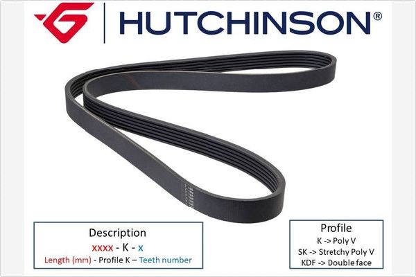 Poly V-riem Hutchinson 2060 K 10TK